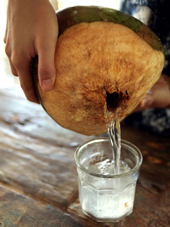 Fresh Coconut Water Served